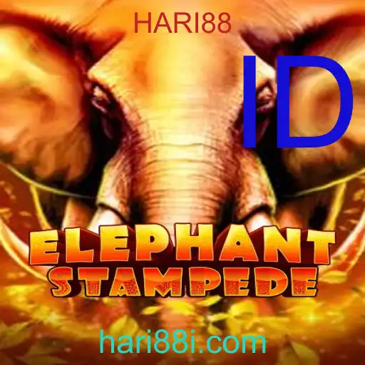 ElephantStampede